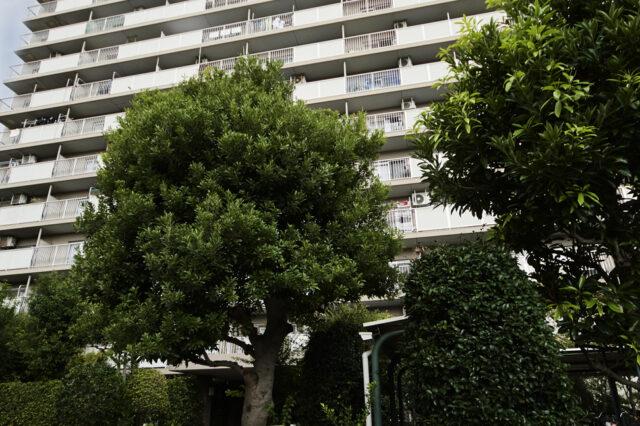 蒲田グリーンパーク